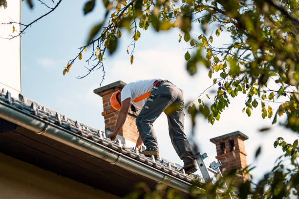 Best Roof Replacement  in Madison, IL