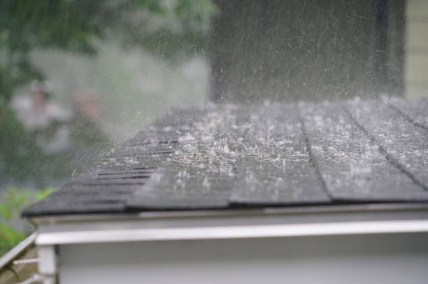 Best Storm Damage Roof Repair  in Madison, IL