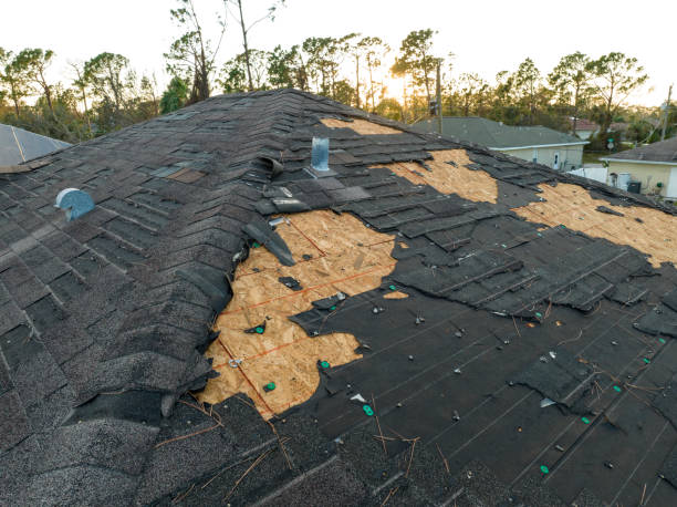 Best Roof Leak Repair  in Madison, IL